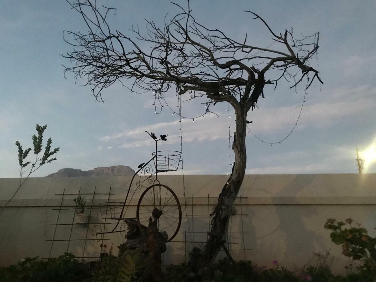 Towerzicht Guest House Ladismith Bagian luar foto